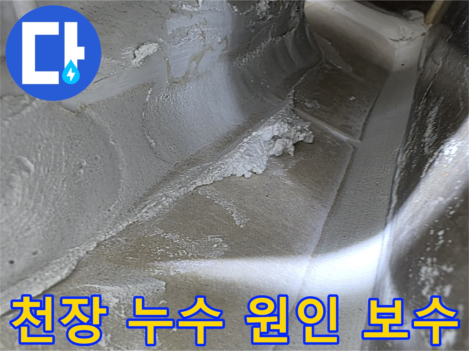 양주 옥정 율정마을 아파트 천장 누수 - 누수 원인을 정확히 찾아 완벽하게 보수하는 과정을 담았습니다.