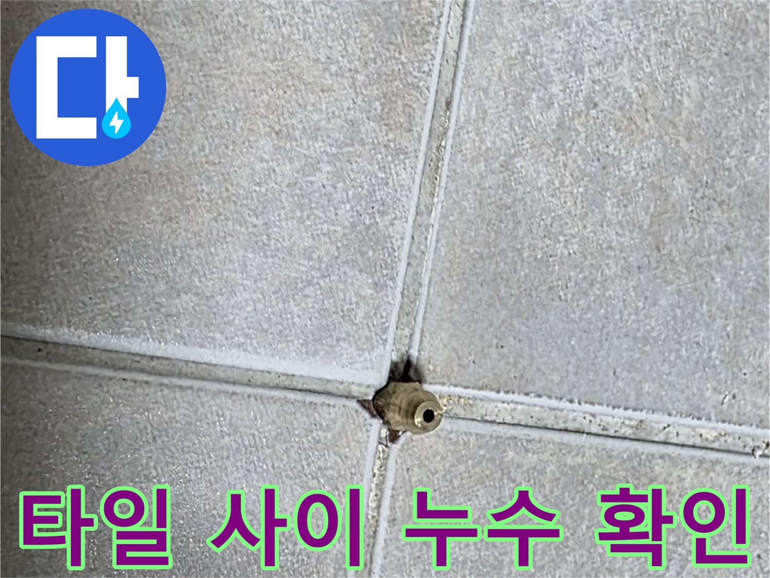양주 옥정동 율정마을 13단지 아파트 누수 - 타일 사이 누수 지점을 정확하게 확인했습니다.