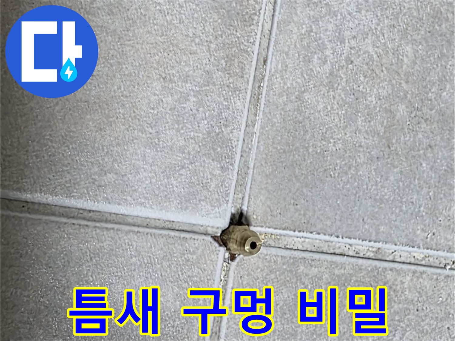 양주 옥정동 율정마을 아파트 누수 - 타일 틈새 구멍 속에 숨겨진 누수의 비밀을 파헤쳐 봅니다.