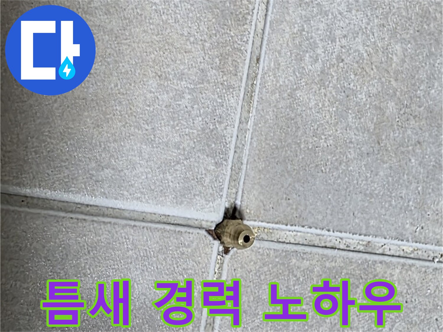 양주 옥정동 율정마을 아파트 누수 - 타일 틈새 누수, 20년 경력 베테랑의 노하우를 공개합니다!