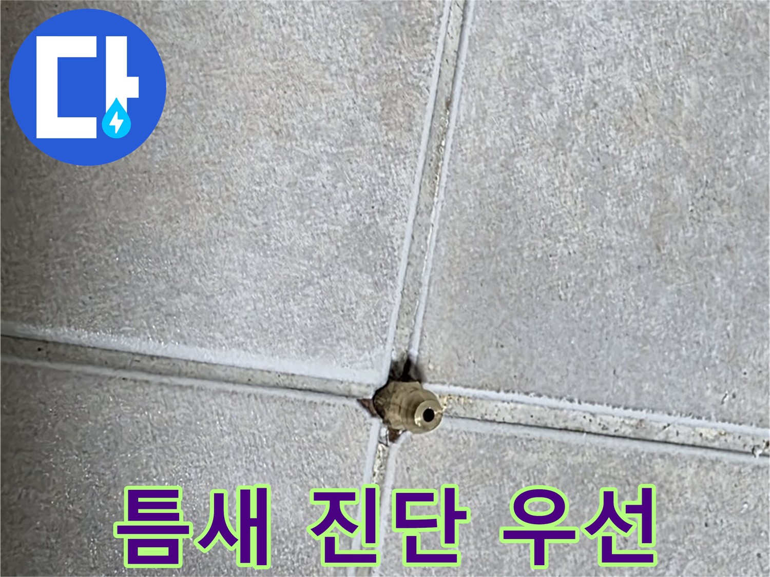 양주 옥정동 율정마을 아파트 누수 - 타일 틈새 누수, 간단한 보수 전에 전문적인 진단이 먼저입니다!