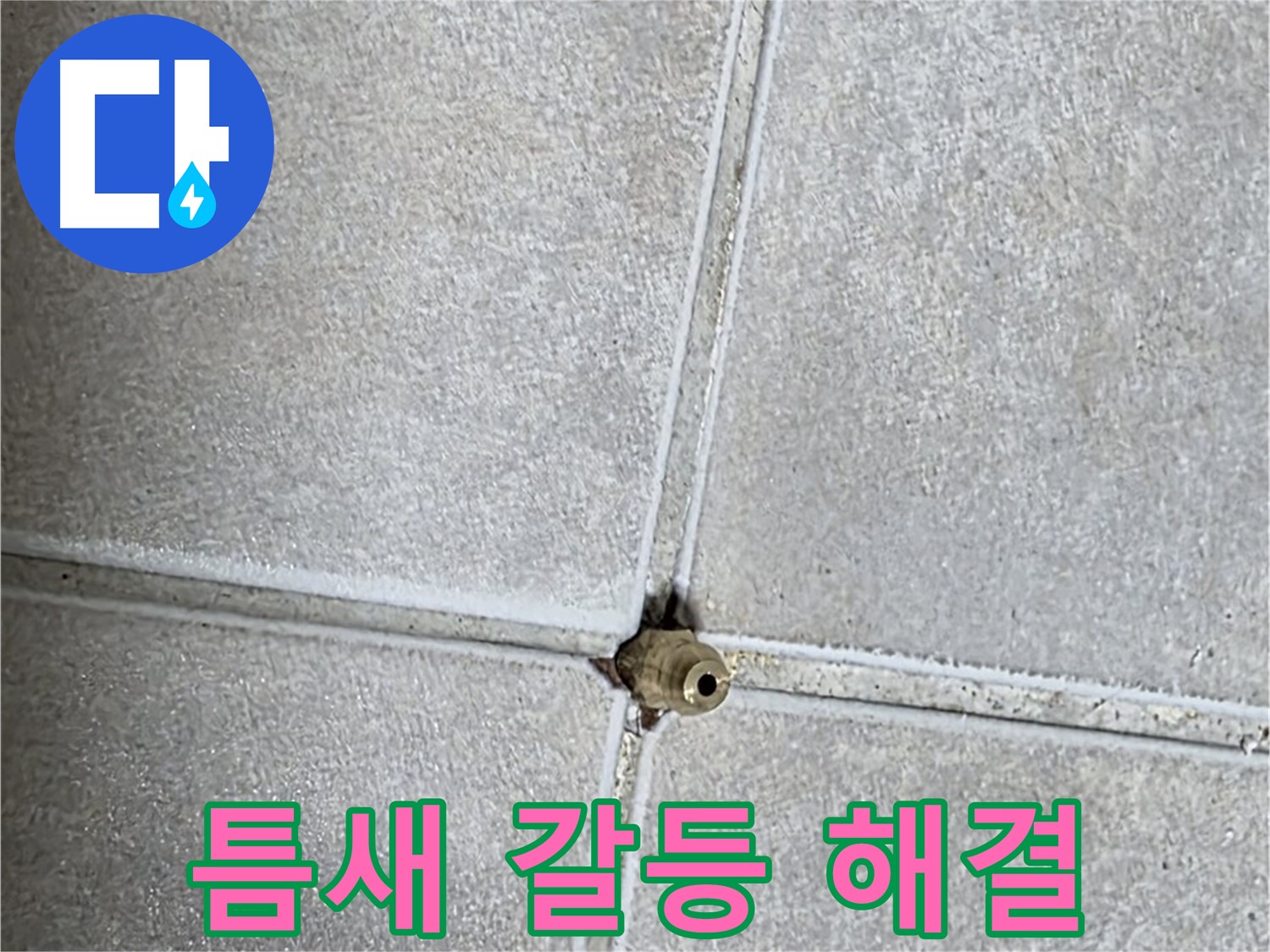 양주 옥정동 율정마을 아파트 누수 - 타일 틈새 누수, 완벽하게 해결하고 이웃 간의 갈등을 종식시켰습니다!