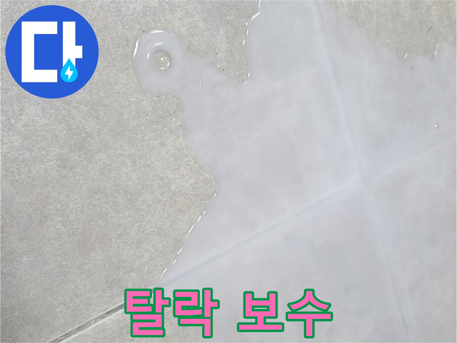 양주 옥정동 율정마을 아파트 타일 위 백시멘트 탈락 - 신속한 점검 및 보수