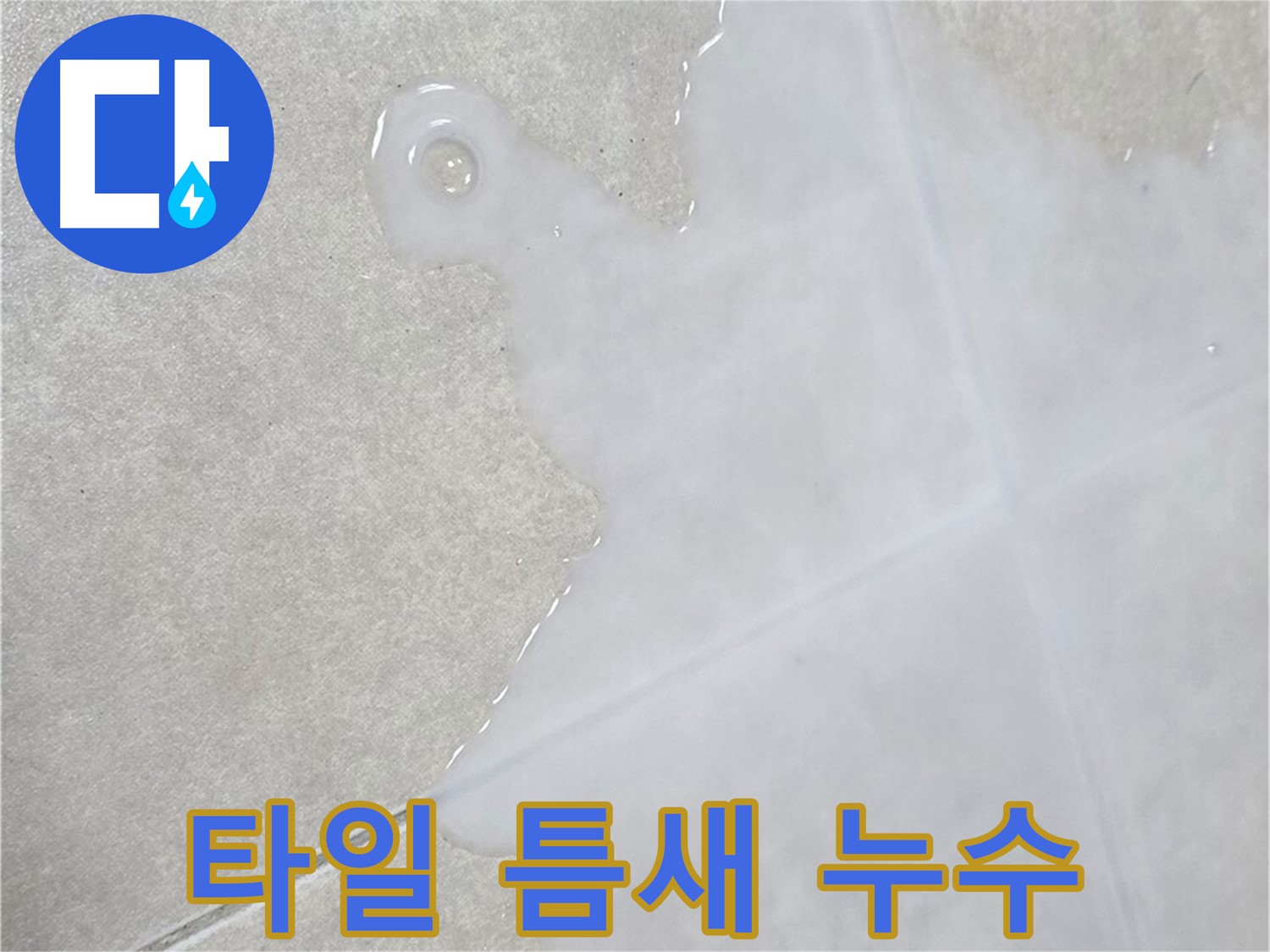 양주 옥정동 율정마을13단지 아파트 타일 틈새 누수 발생 - 정확한 탐지로 해결