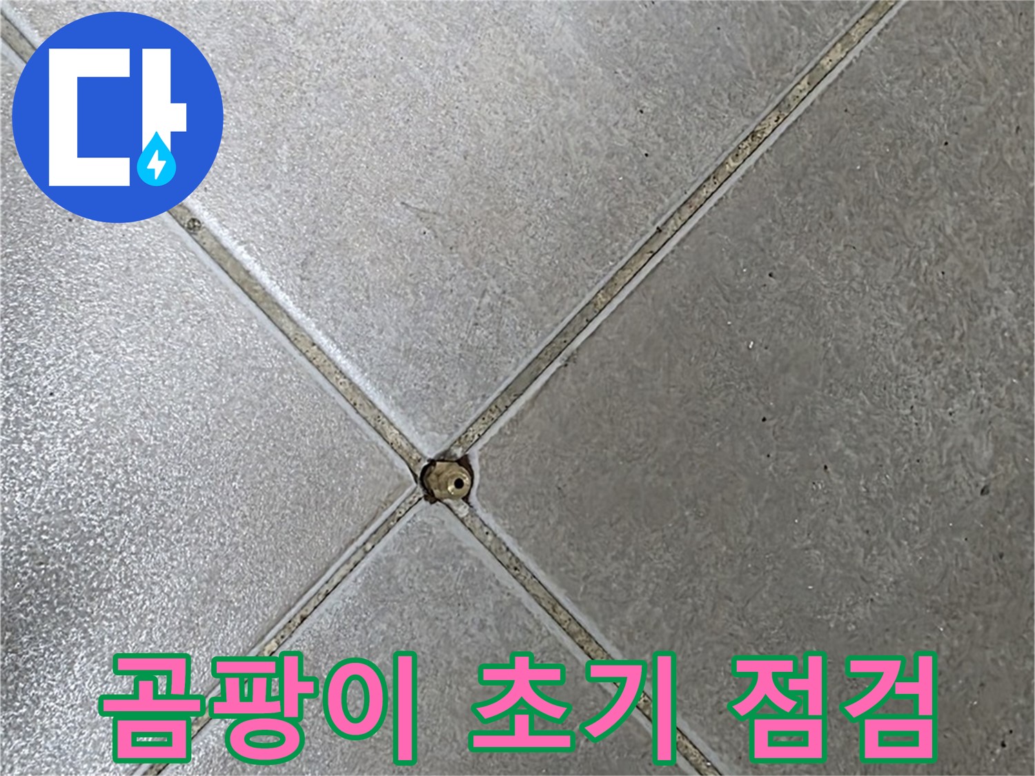 양주시 옥정동 율정마을 13단지 아파트 타일 틈새 곰팡이 - 초기 점검 과정입니다.