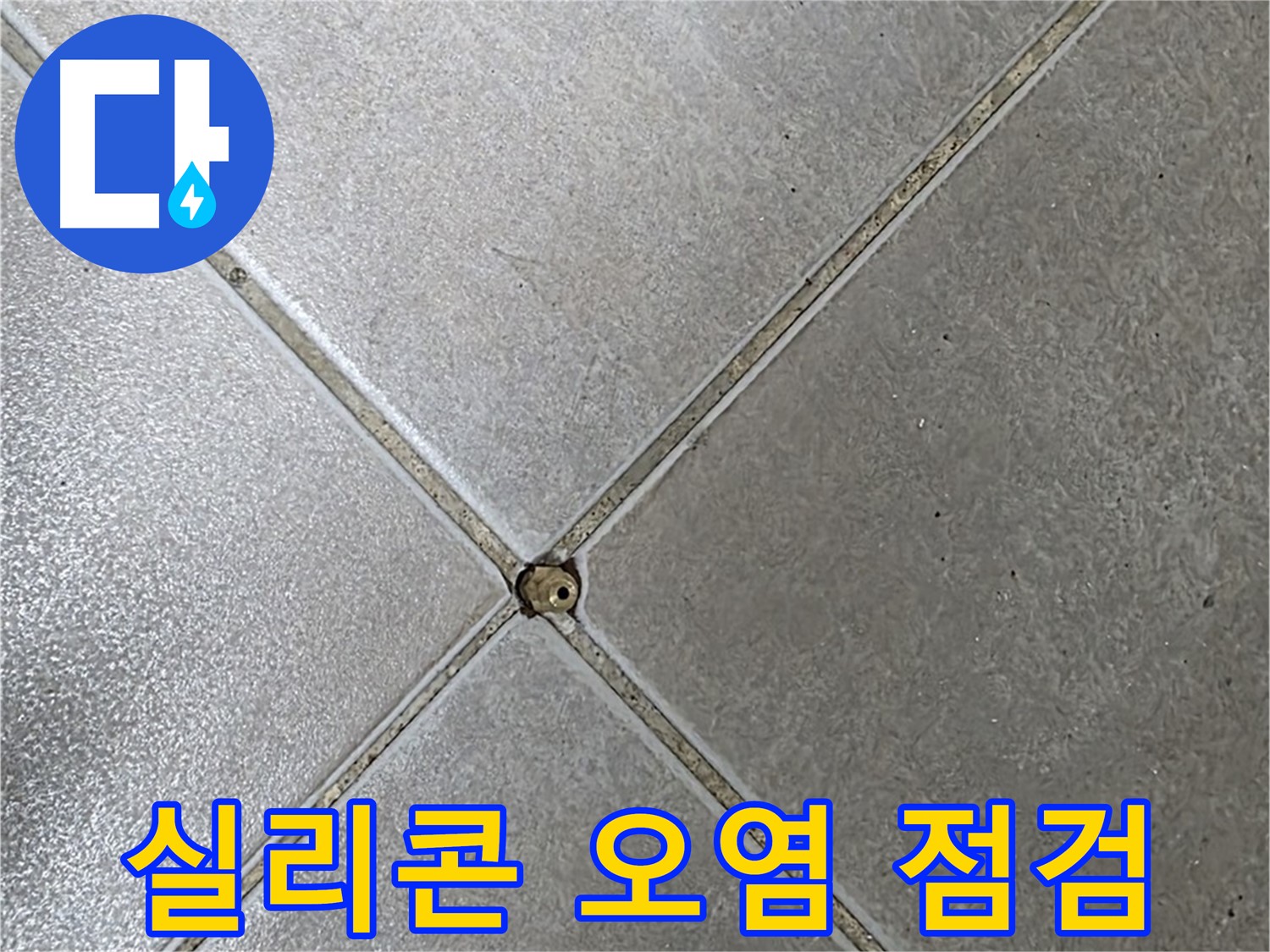 양주시 옥정동 율정마을 13단지 아파트 타일 틈새 실리콘 오염 - 초기 점검 모습입니다.