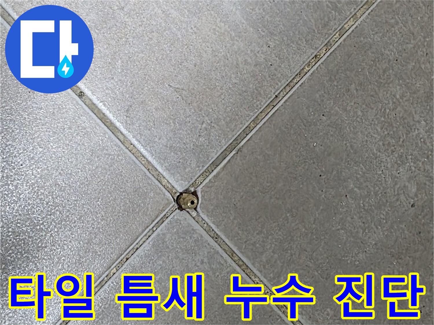양주시 옥정동 율정마을 아파트 타일 틈새 누수 - 누수탐지 전문가의 정확한 진단과 해결 과정을 확인하세요.