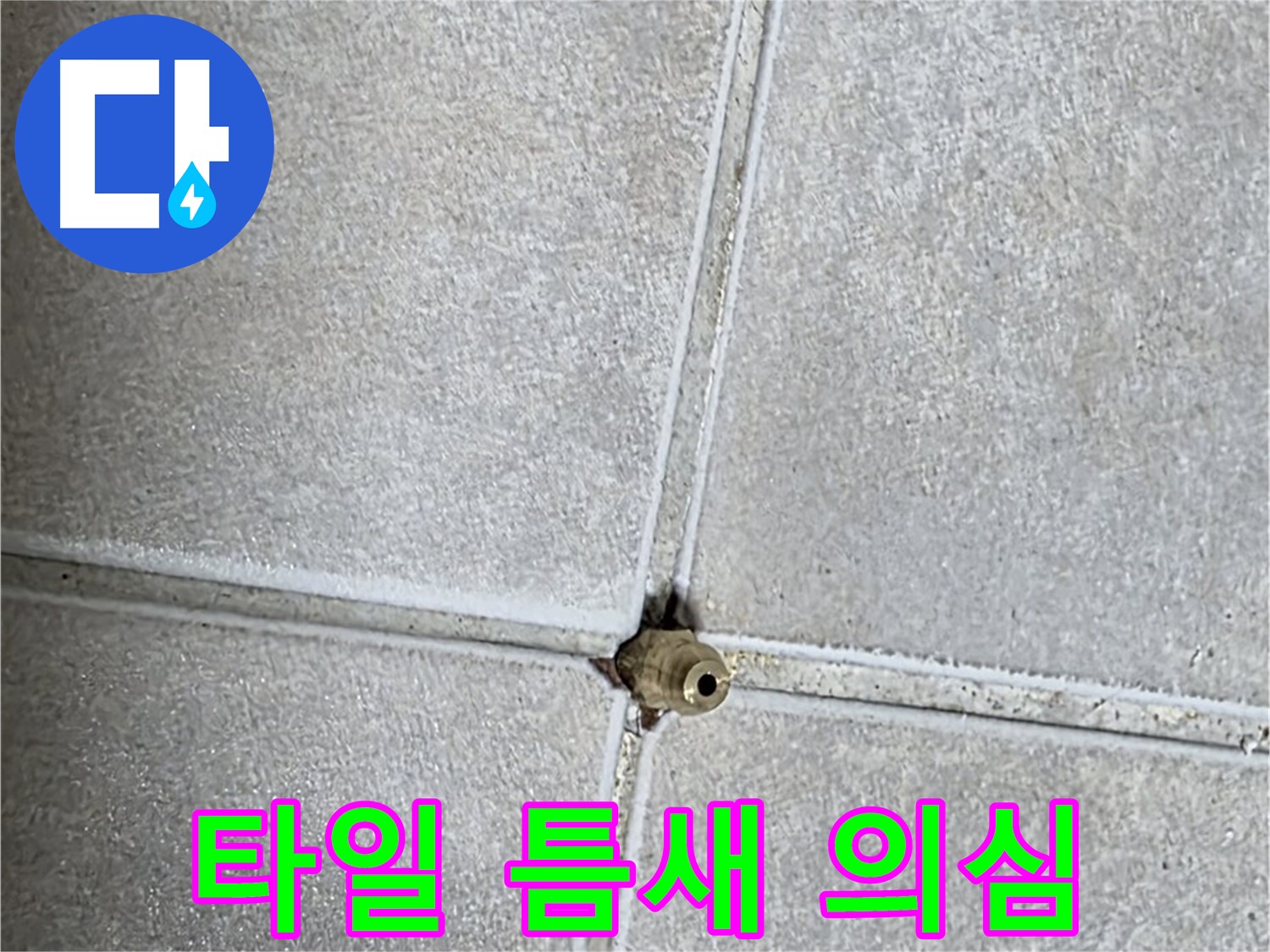 옥정 율정마을 아파트 누수 - 타일 틈새를 의심하고 꼼꼼하게 점검하세요!