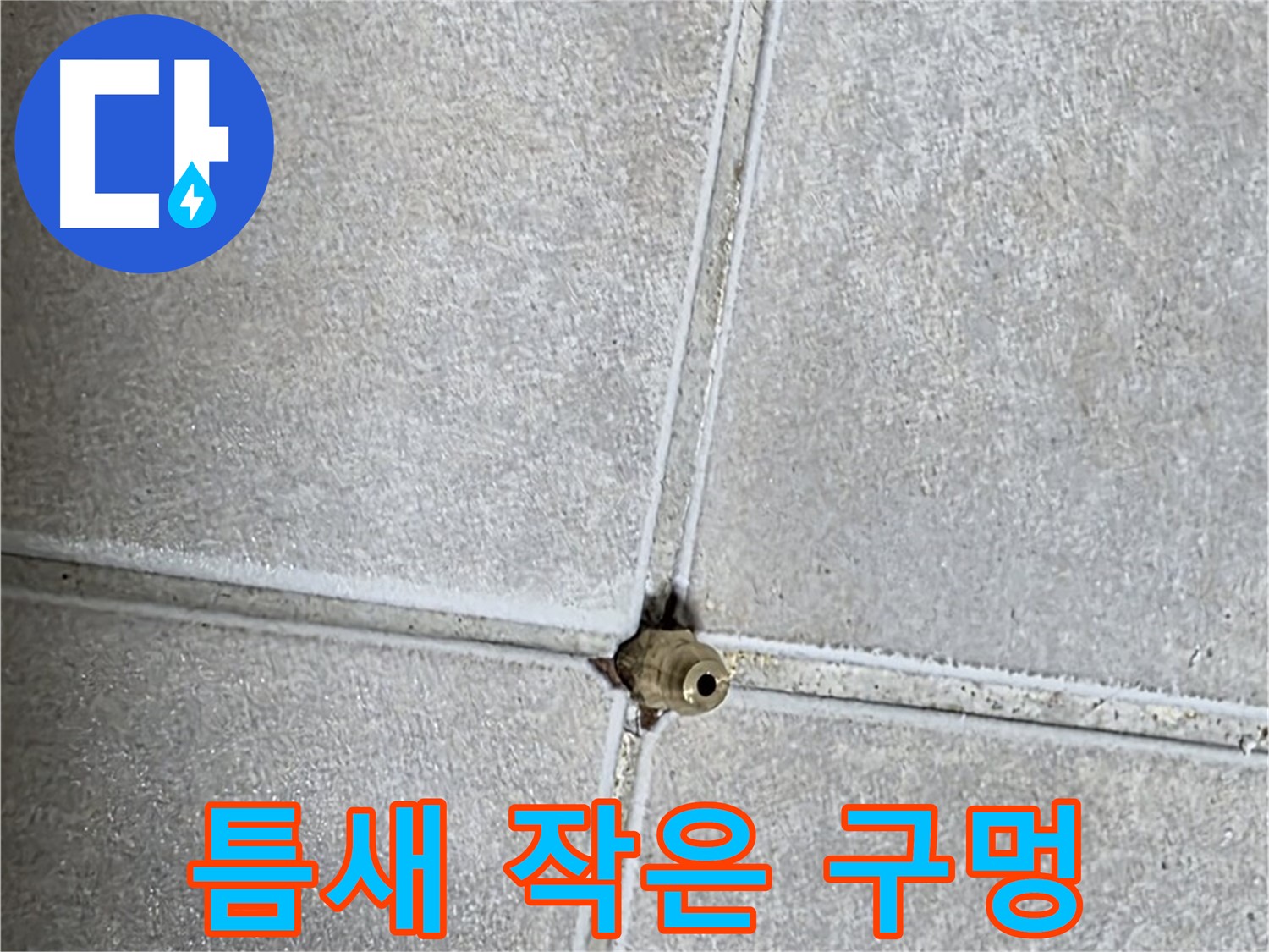 옥정 율정마을 아파트 누수 - 타일 틈새의 작은 구멍이 누수의 시작점일 수 있습니다.
