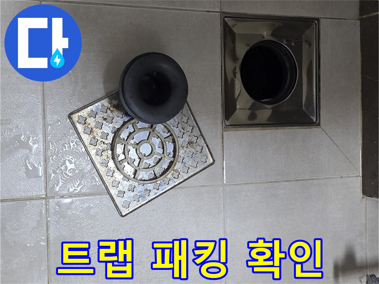 옥정 율정마을 아파트 - 욕실 배수구 누수, 트랩 고무 패킹 상태 확인