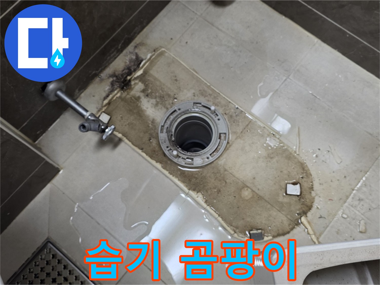 옥정동 율정마을 아파트 변기 누수 - 철거 후 바닥 습기 및 곰팡이 발견