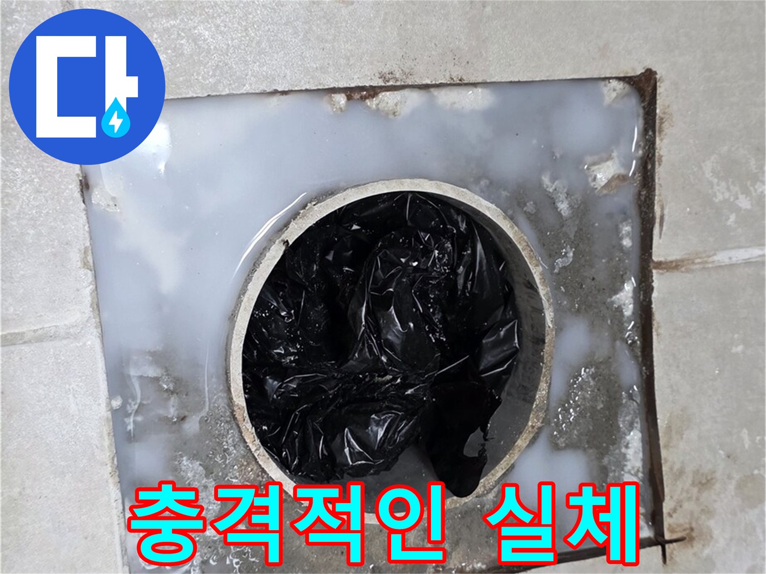 율정마을 옥정 배수구 막힘 원인 - 충격적인 이물질