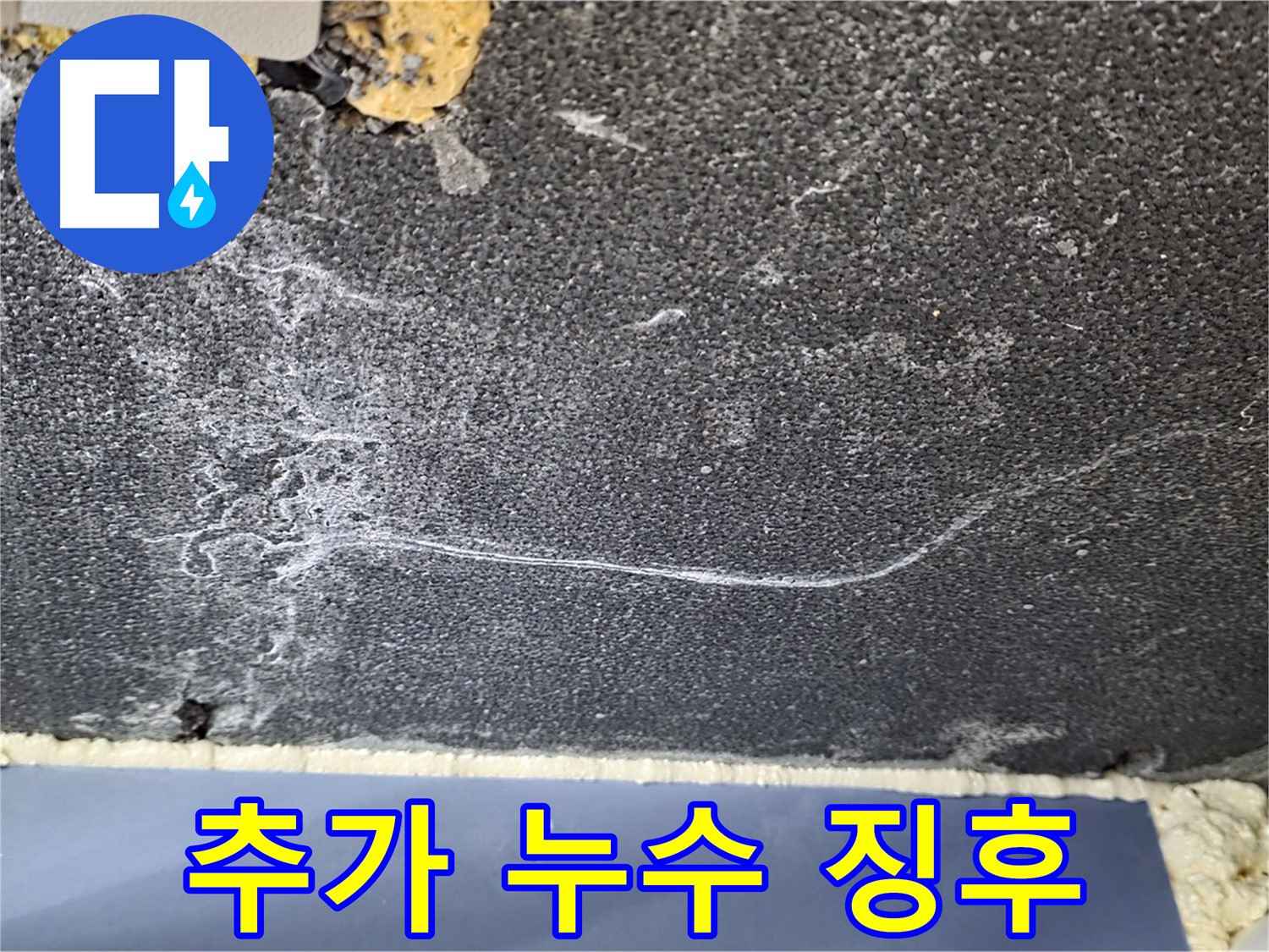 운정 아파트 곰팡이 누수 - 곰팡이 얼룩 주변 추가 누수 징후 확인