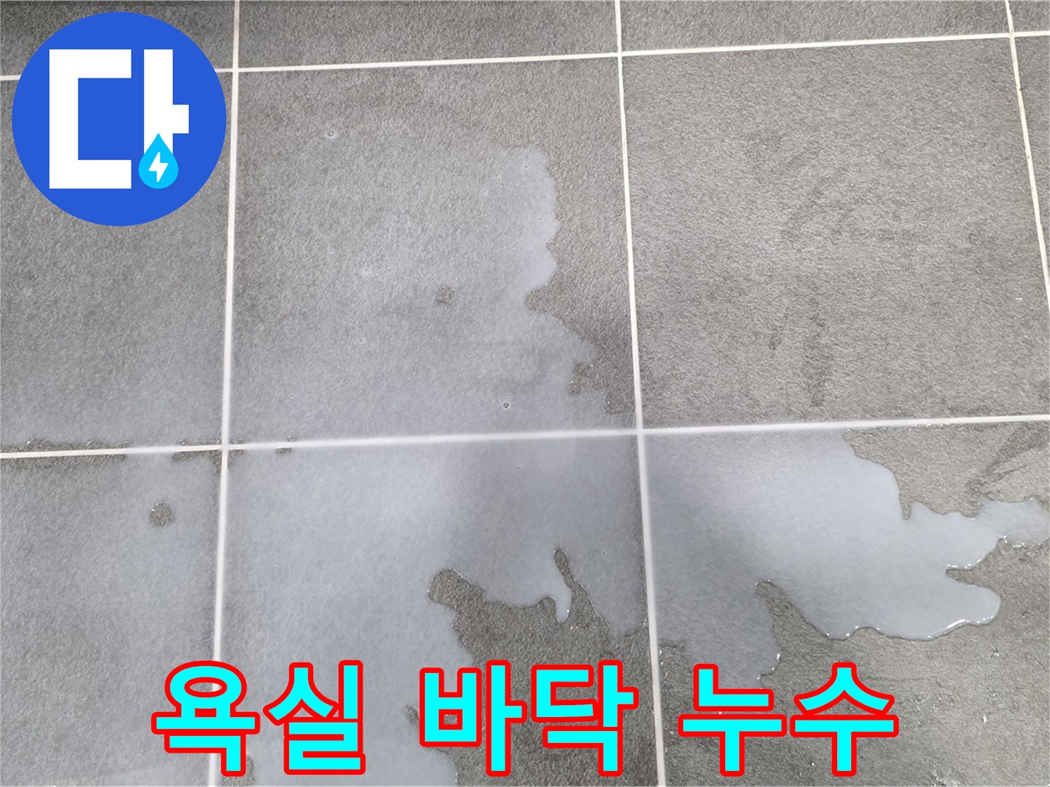 운정 지역 아파트 욕실 바닥 누수 현장 - 누수 원인 심층 분석 및 해결 방안 모색