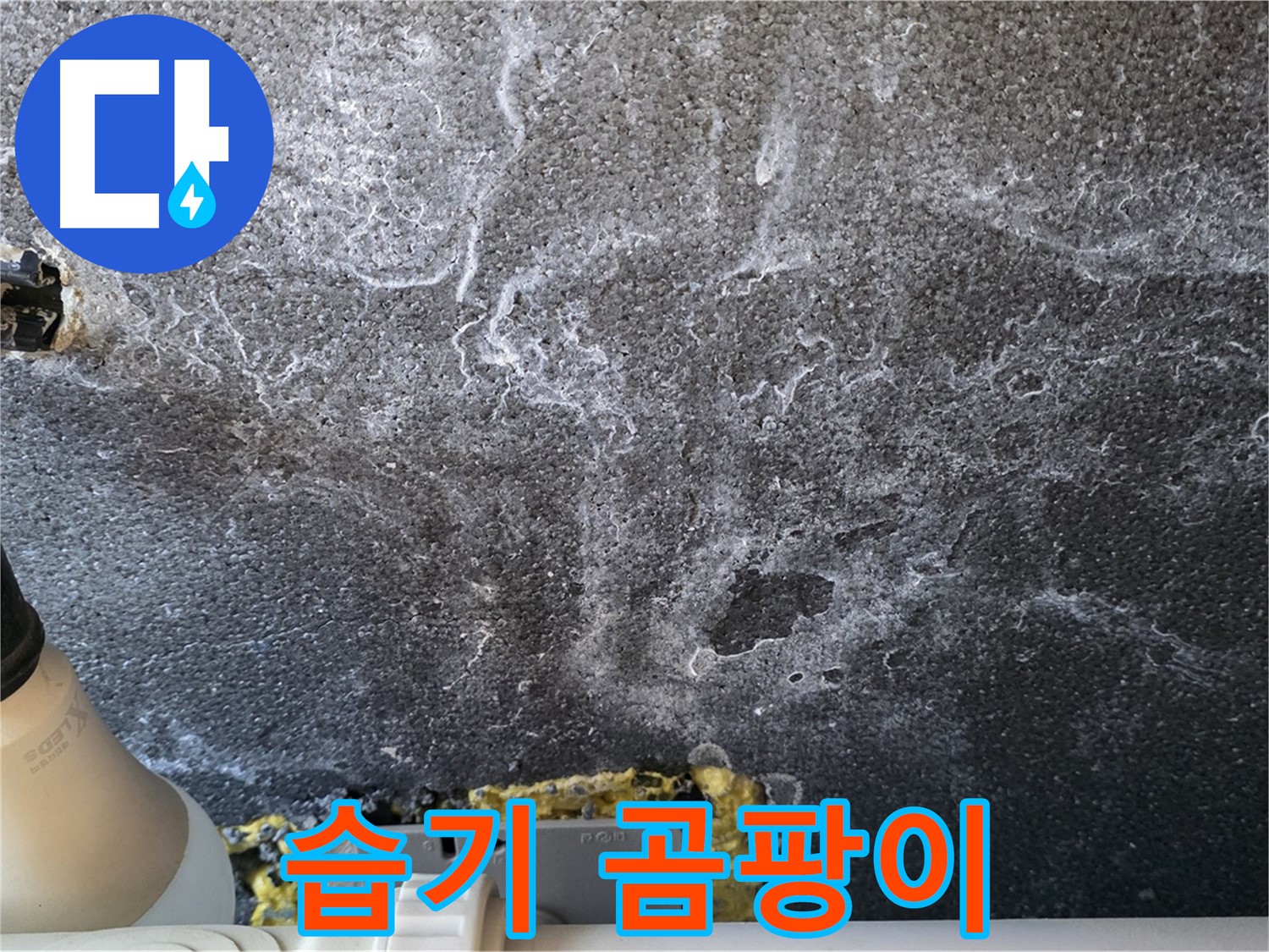 운정어반프라임 1201동 누수 - 누수 부위 주변 습기 및 곰팡이 확인