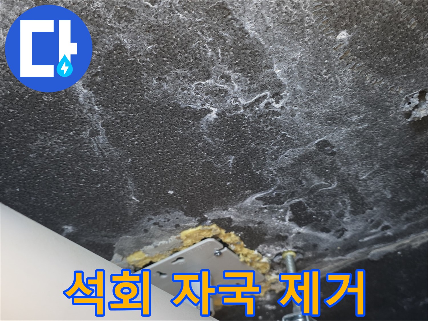 운정어반프라임 누수 - 천장 석회 자국 제거 및 누수 보수 작업