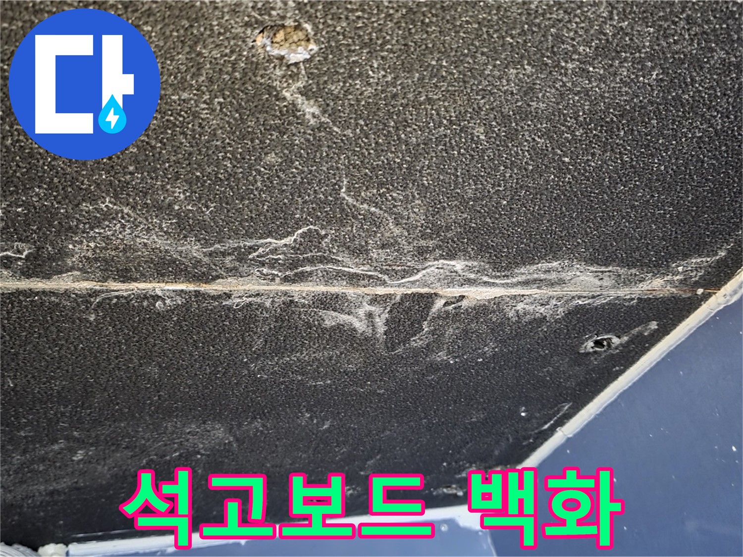운정어반프라임 백화 - 천장 석고보드 백화 현상 확인