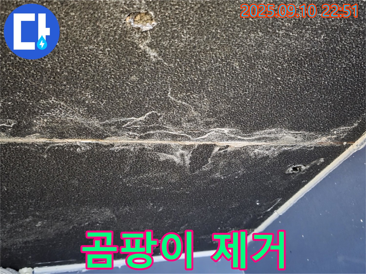 운정어반프라임 아파트 천장 누수 - 완벽하게 누수를 해결하고 곰팡이까지 깨끗하게 제거해 드립니다.