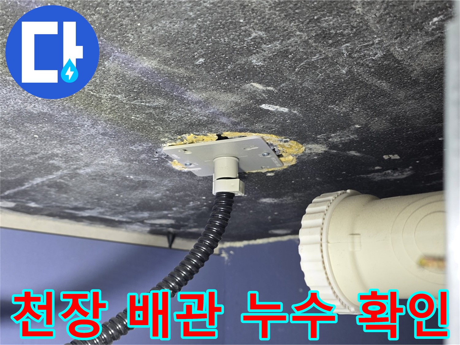 운정어반프라임 욕실 천장 누수 - 배관 상태를 확인하고 누수 원인을 파악하는 모습