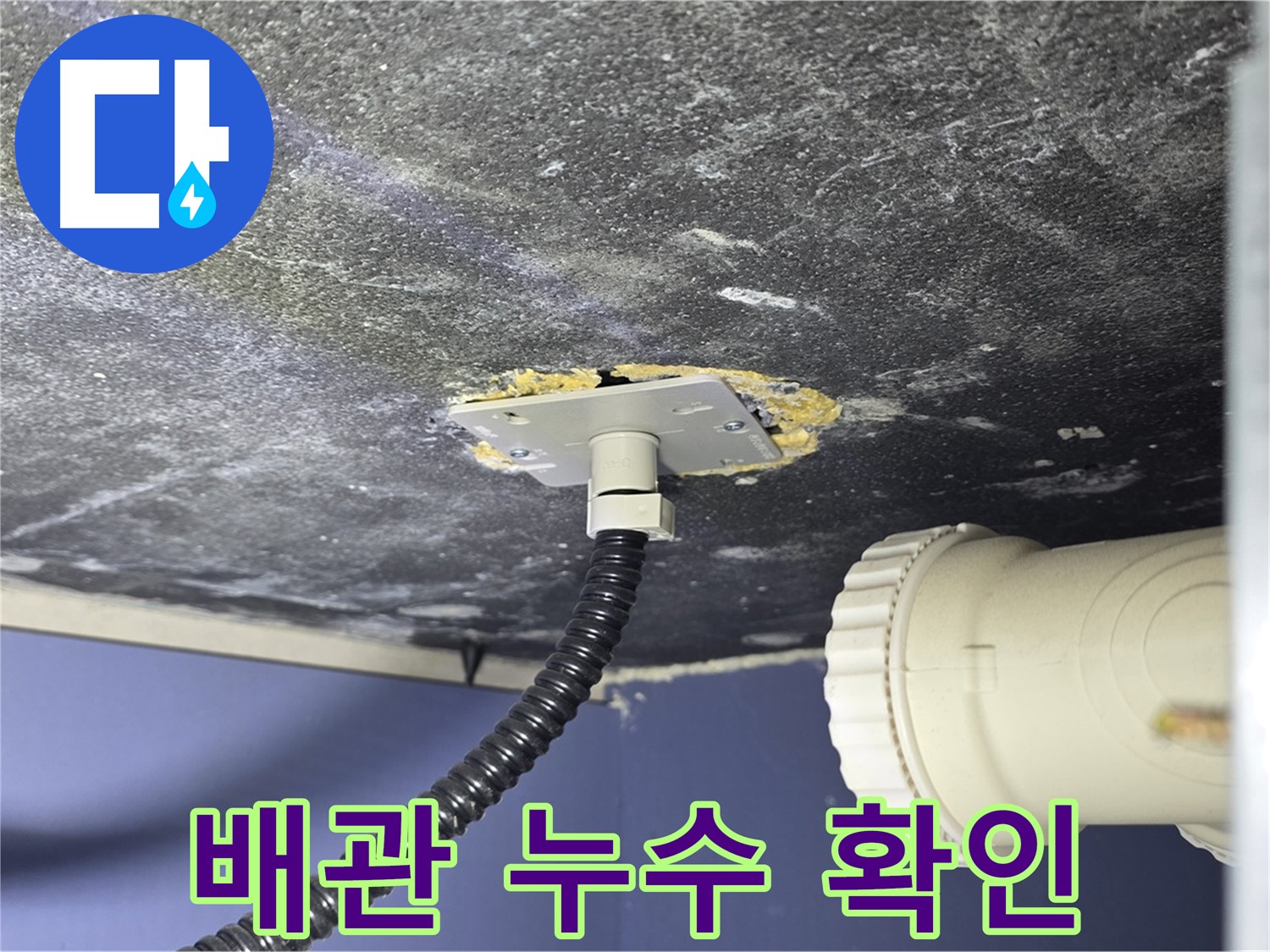운정어반프라임 욕조 누수 - 배관 상태를 확인하고 누수 원인을 파악하는 모습