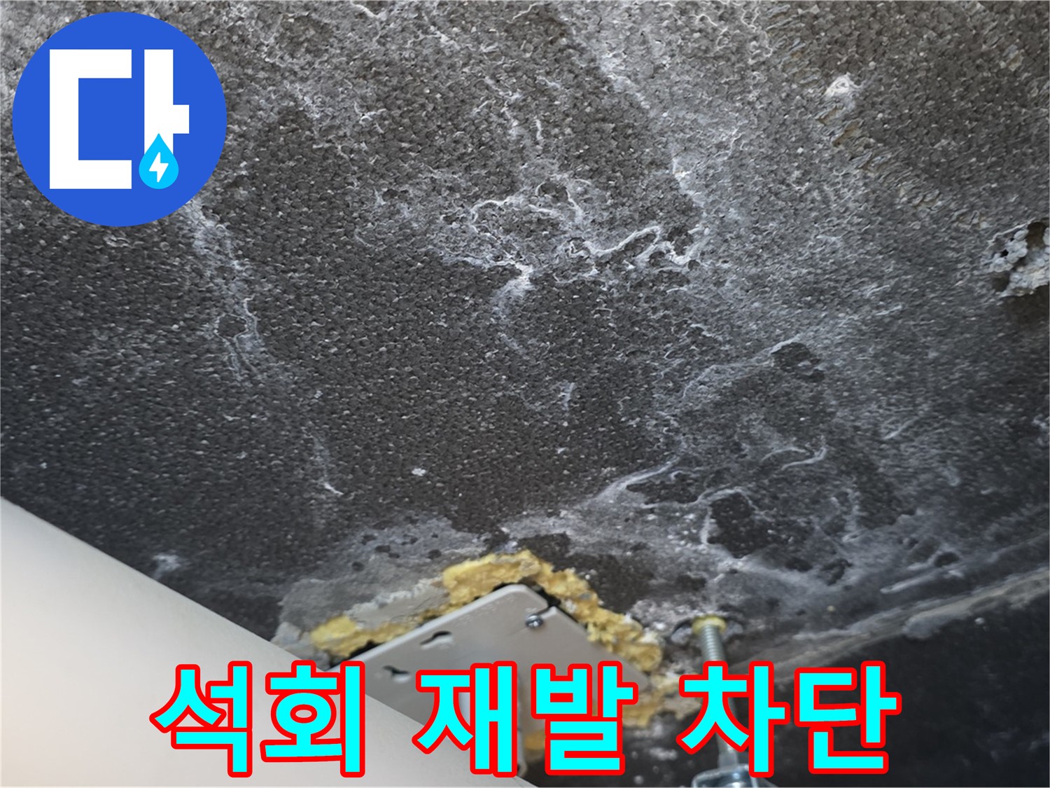 운정어반프라임 천장 누수 - 석회 재발 완벽 차단 솔루션 제공