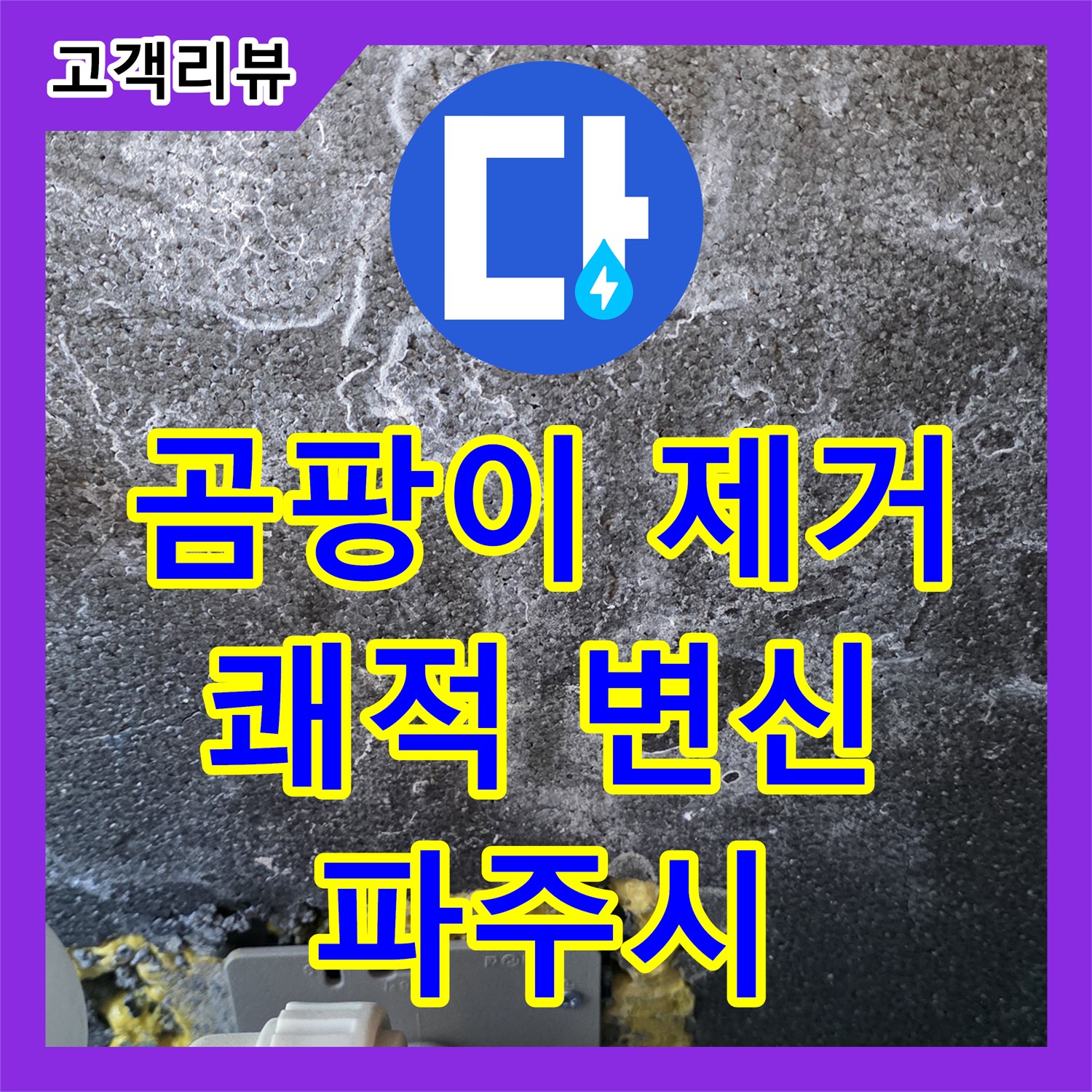 파주시 누수전문, 곰팡이 가득한 욕실, 확실한 원인 제거로 쾌적하게 변신!