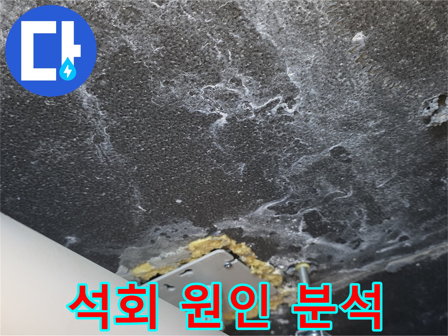 파주시 동패동 아파트 천장 누수 - 석회 원인 정밀 분석 및 해결 과정