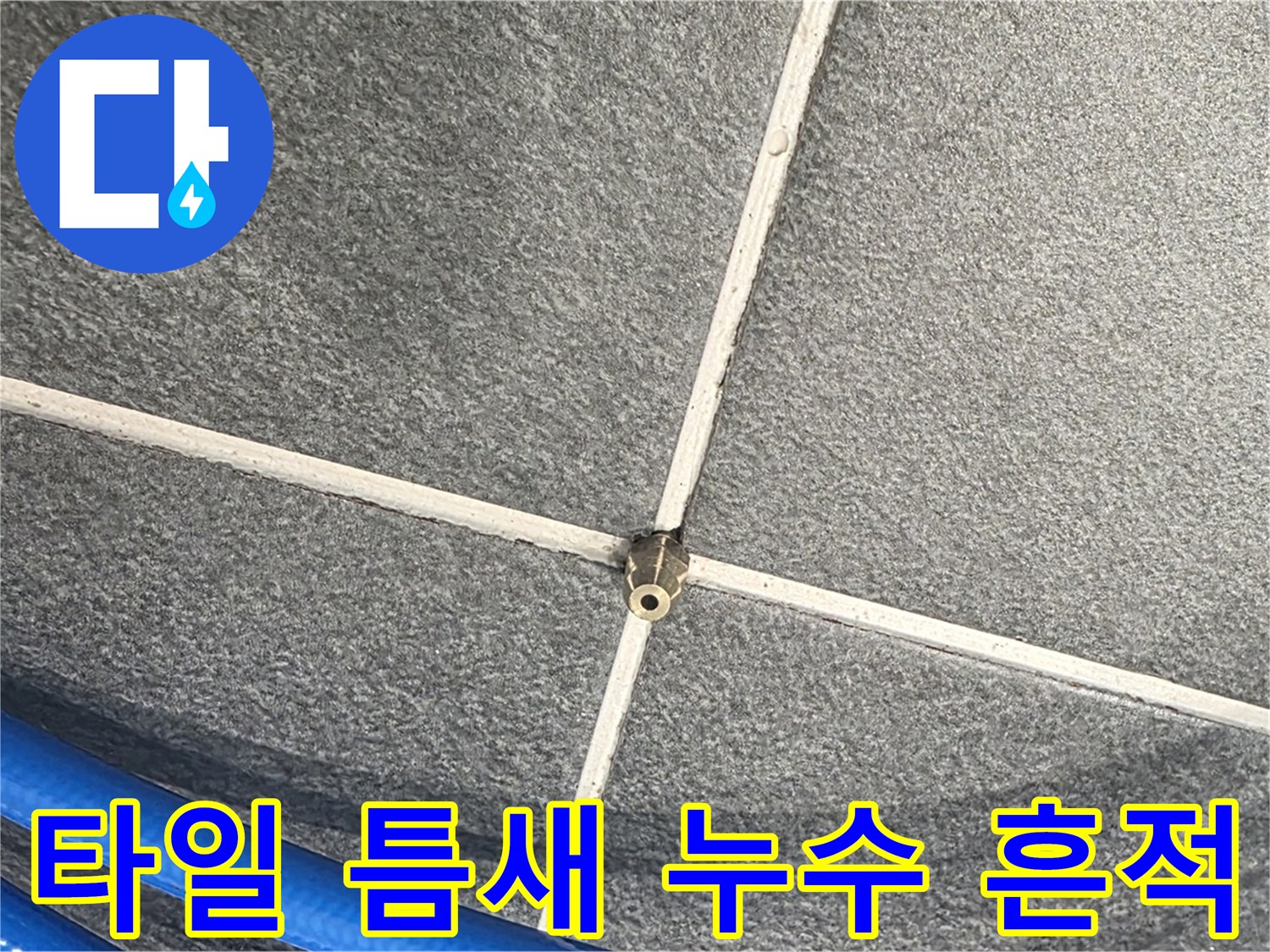 파주시 동패동 운정어반프라임 아파트 누수 - 타일 틈새에 나타난 누수 흔적을 발견했습니다.
