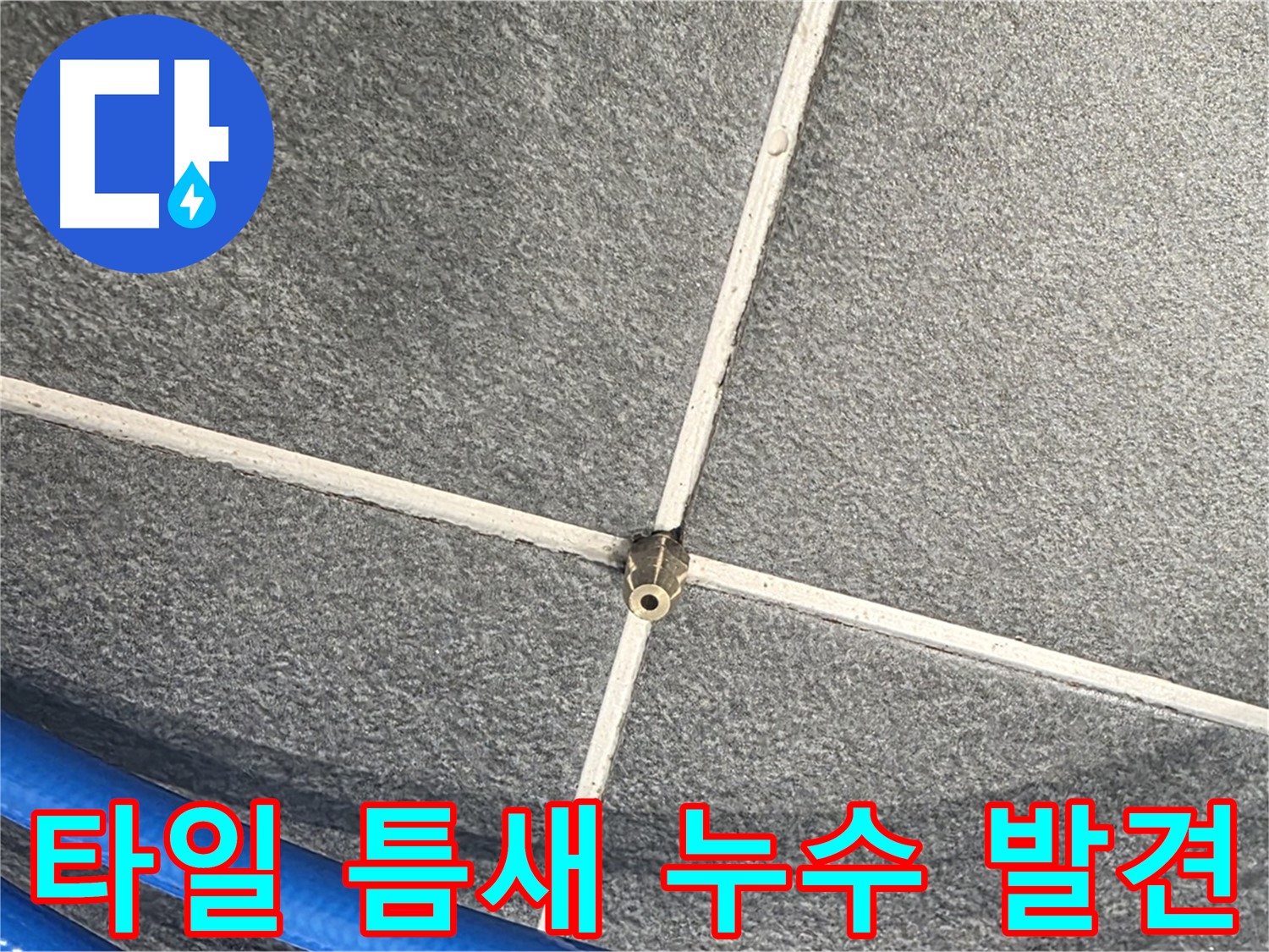 파주시 동패동 운정어반프라임 아파트 누수 - 타일 틈새에서 발생하는 누수를 발견한 모습입니다.