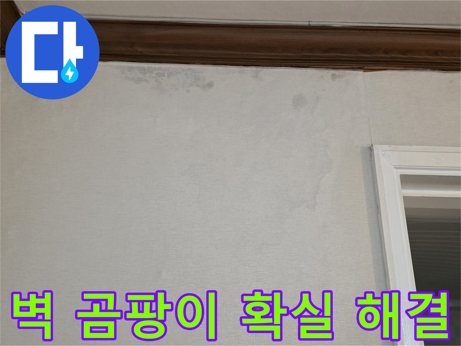 노원구 중계동 현대5차 211동 벽 곰팡이 - 확실한 누수 해결 및 곰팡이 제거 보장