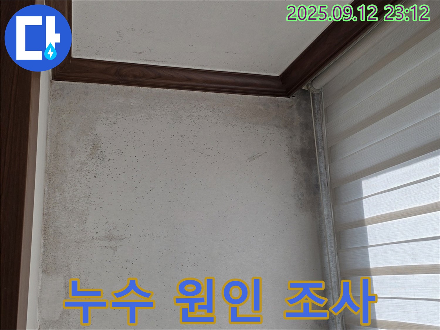 노원구 중계동 현대5차 211동 아파트 누수 현장 - 곰팡이 확산의 원인인 누수를 샅샅이 조사하고 있습니다.