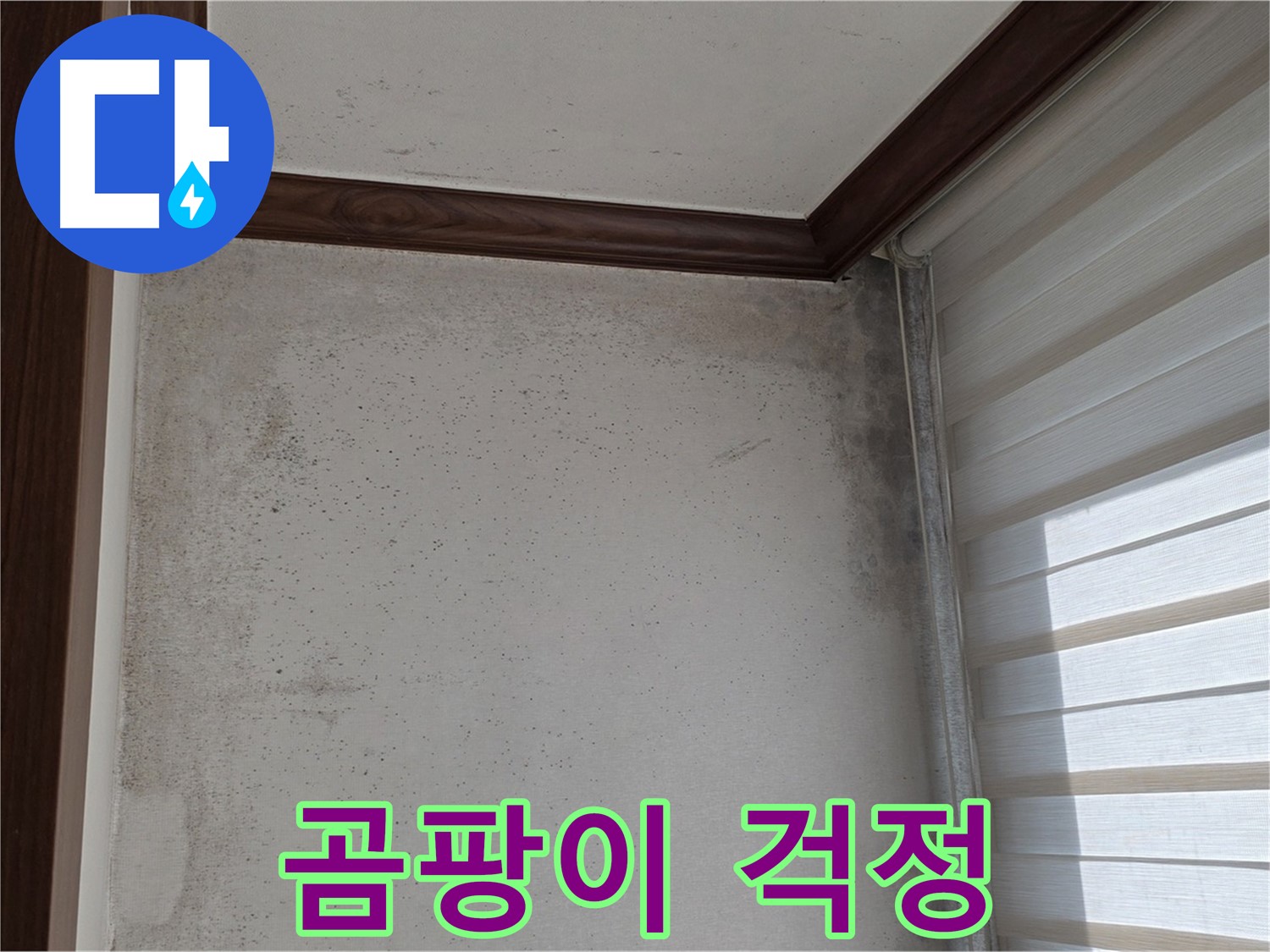 노원구 중계동 현대5차 곰팡이 누수 - 곰팡이, 이제 걱정 끝 - 완벽 해결