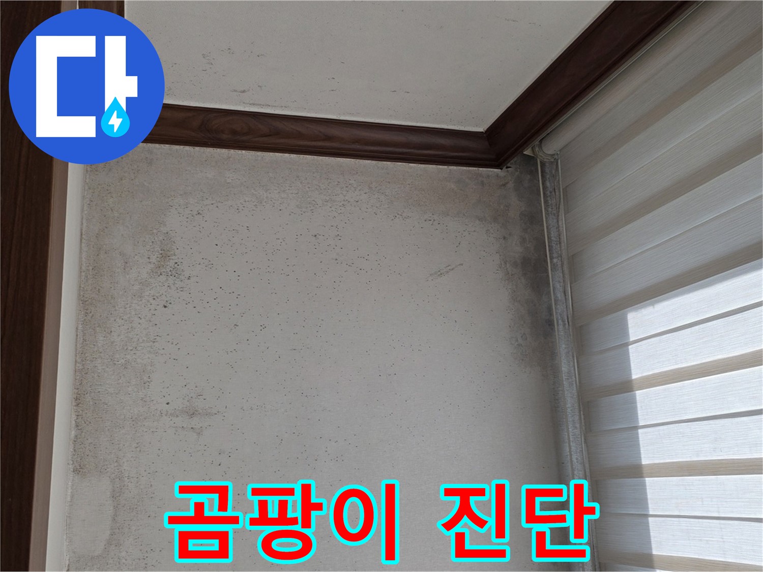 노원구 중계동 현대5차 곰팡이 누수 - 원인 진단부터 완벽 해결 책임 시공