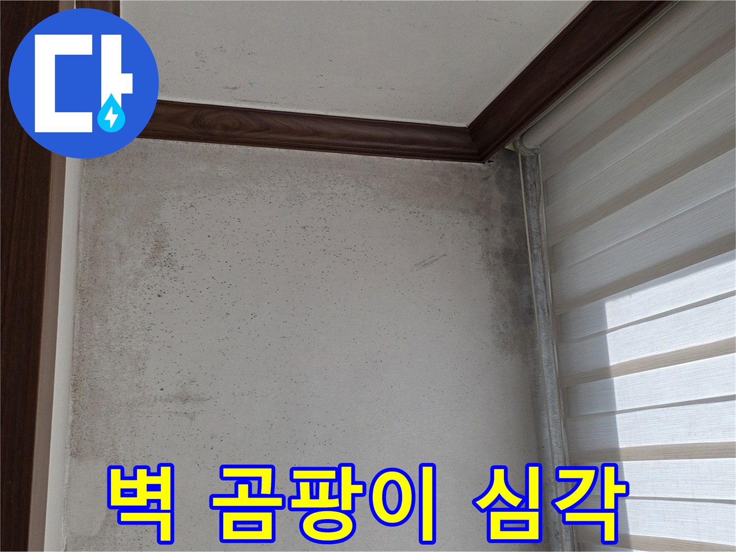중계동 현대5차 아파트 벽 곰팡이 - 심각한 누수 상황 진단 및 해결
