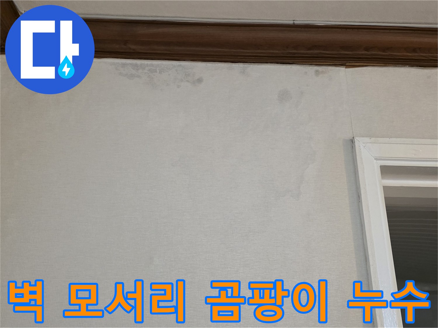 중계동 현대5차 아파트 벽 모서리 곰팡이 - 누수탐지 전문 업체의 정확한 진단과 해결