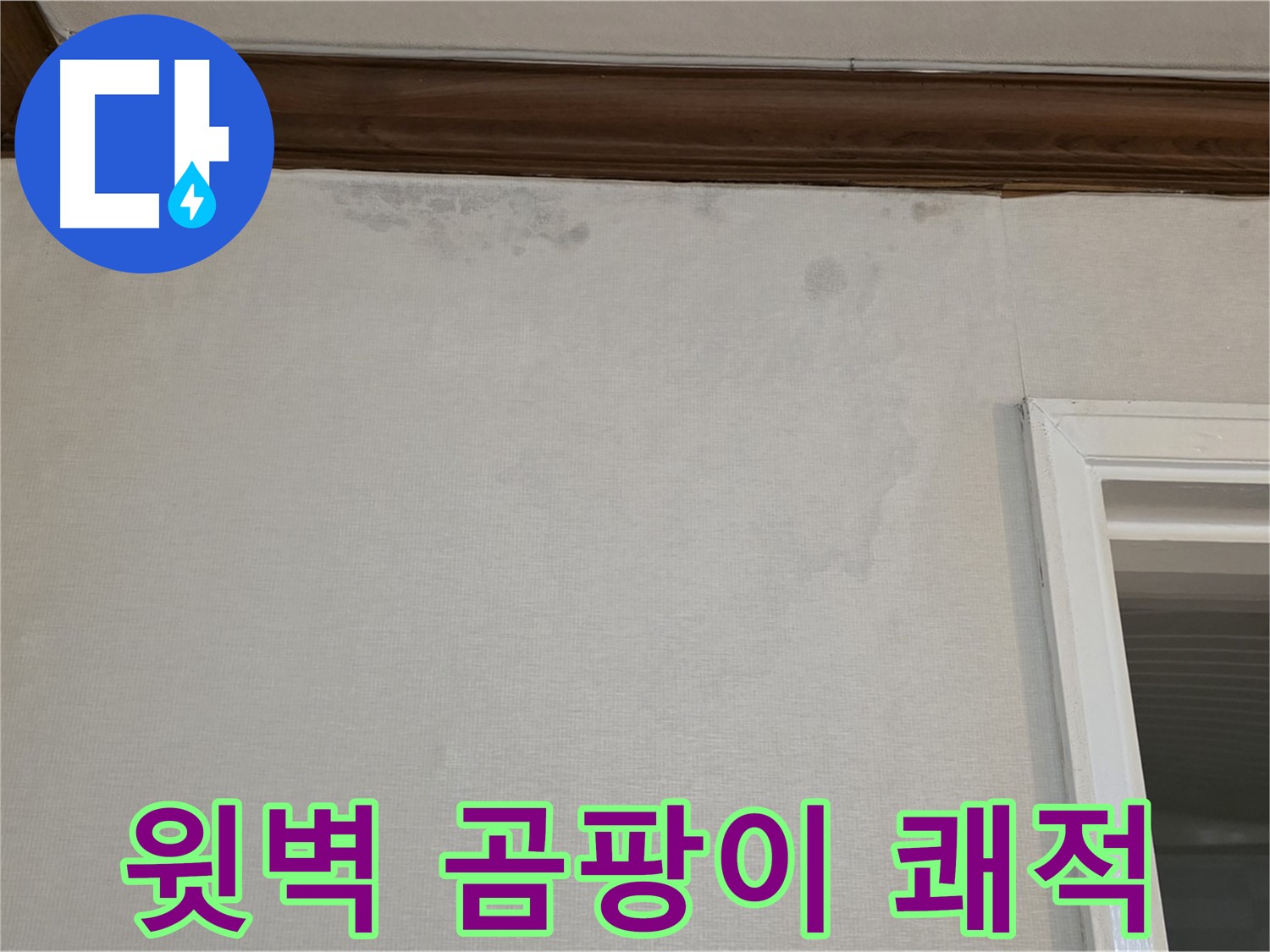 중계동 현대5차 아파트 윗벽 곰팡이 - 쾌적한 환경 되찾기 프로젝트