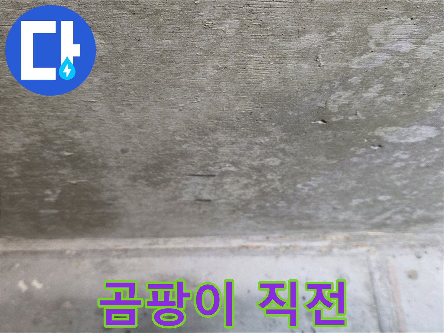 중계동 현대5차 아파트 콘크리트 천장 누수 - 곰팡이 발생 직전 - 예방이 중요합니다.