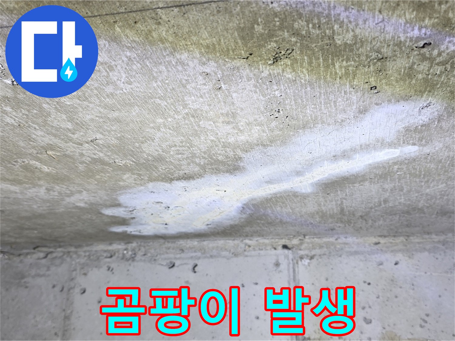 현대5차 211동 - 천장 누수와 벽면 곰팡이 동시 발생 - 건강 위협