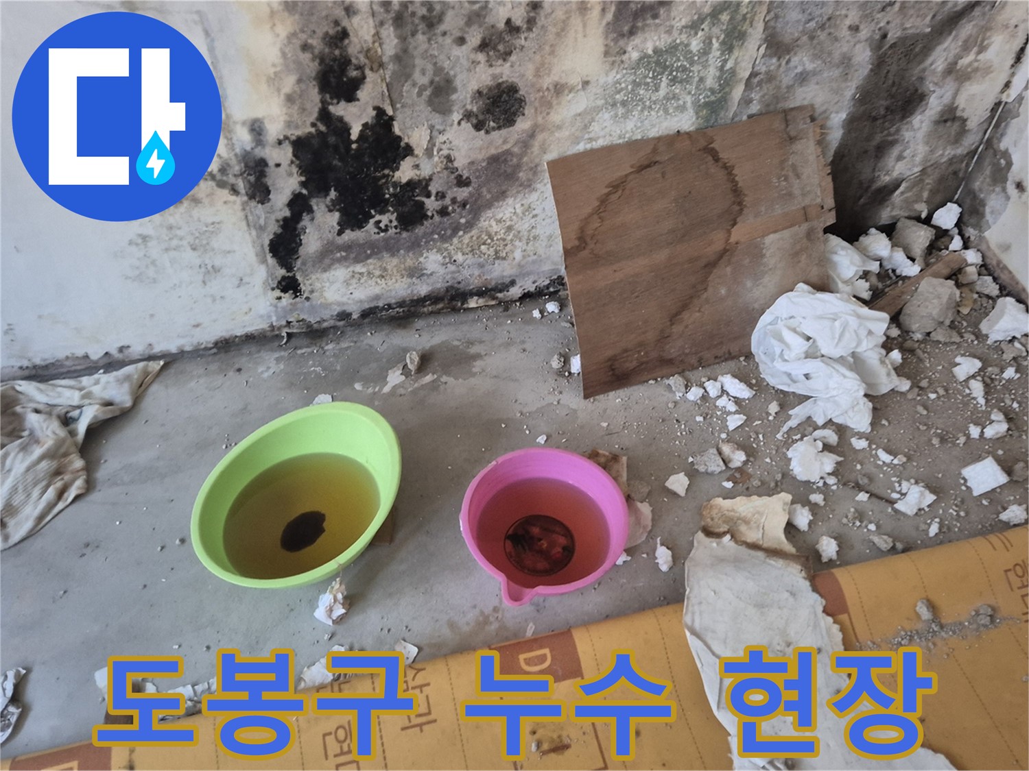 도봉구 숭미가든빌라 누수 현장 - 벽과 천장의 심각한 누수 흔적과 물받이 양동이가 놓여 있습니다.