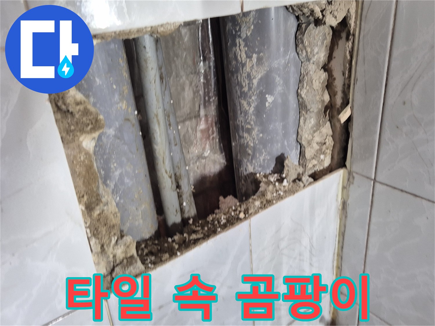 도봉구 창동 누수 점검 - 타일 속에 숨은 곰팡이까지 꼼꼼하게 확인
