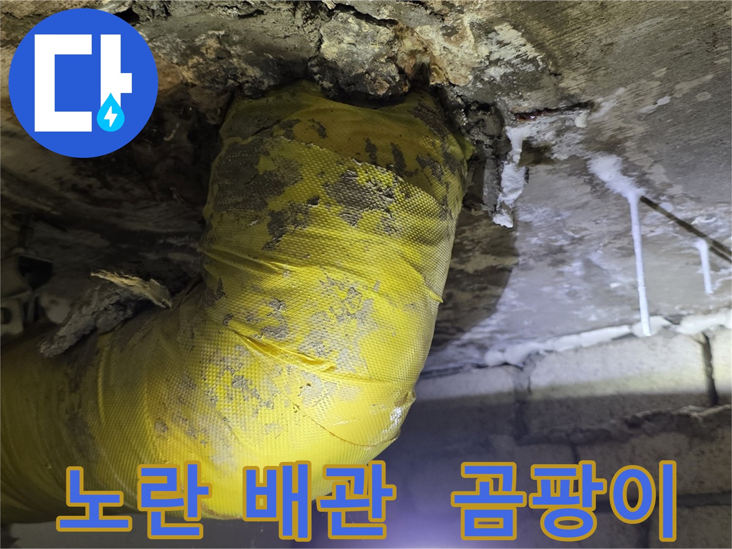 노란 배관의 최후, 곰팡이와 악취 - 서울 은평구 신사동 새절역 인근 누수 긴급 해결