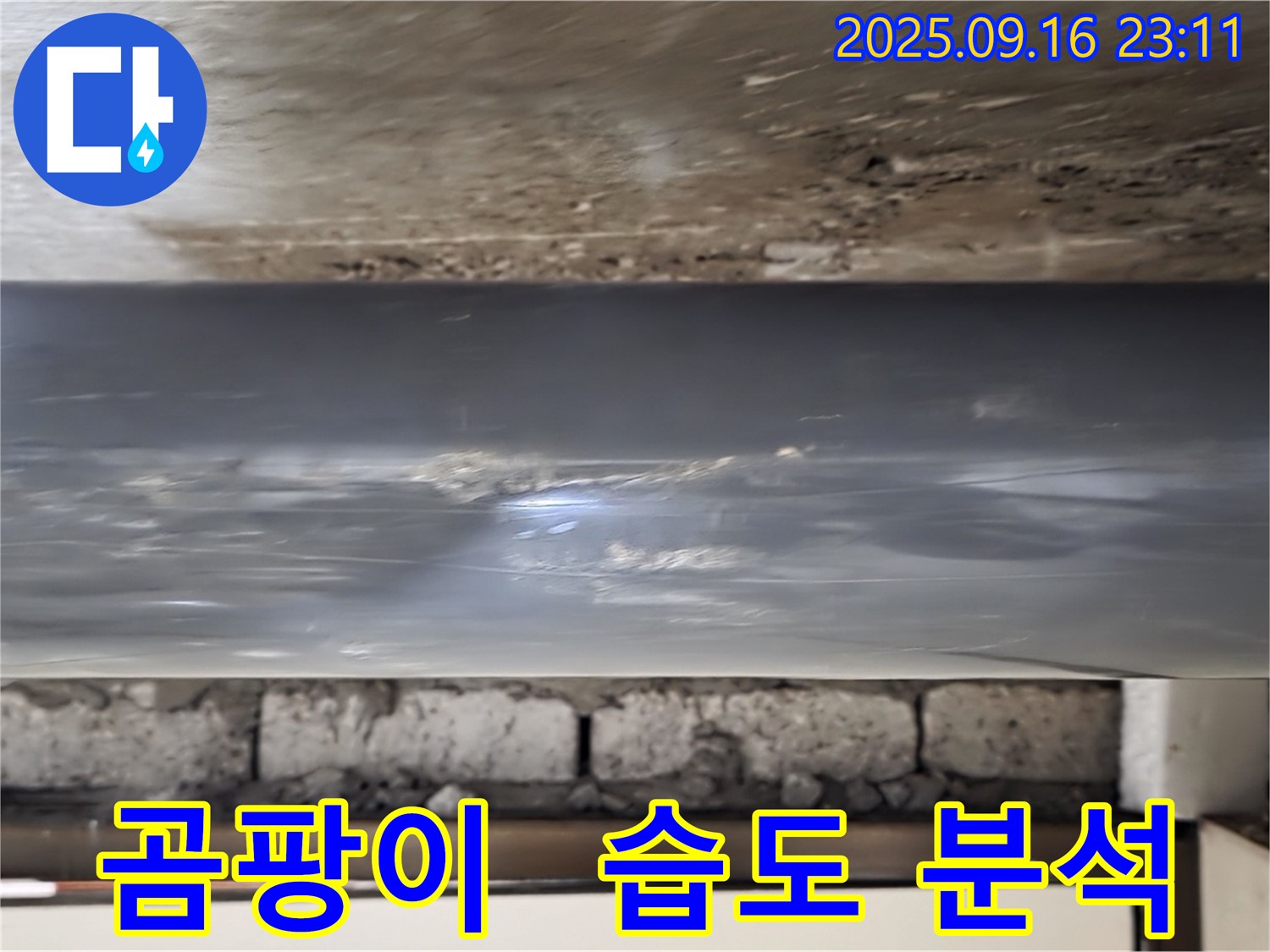 배관 주변의 곰팡이 발생 여부와 습도 변화를 함께 분석 - 곰팡이는 습한 환경에서 잘 자라므로, 습도 변화와 함께 분석하는 것이 중요합니다.