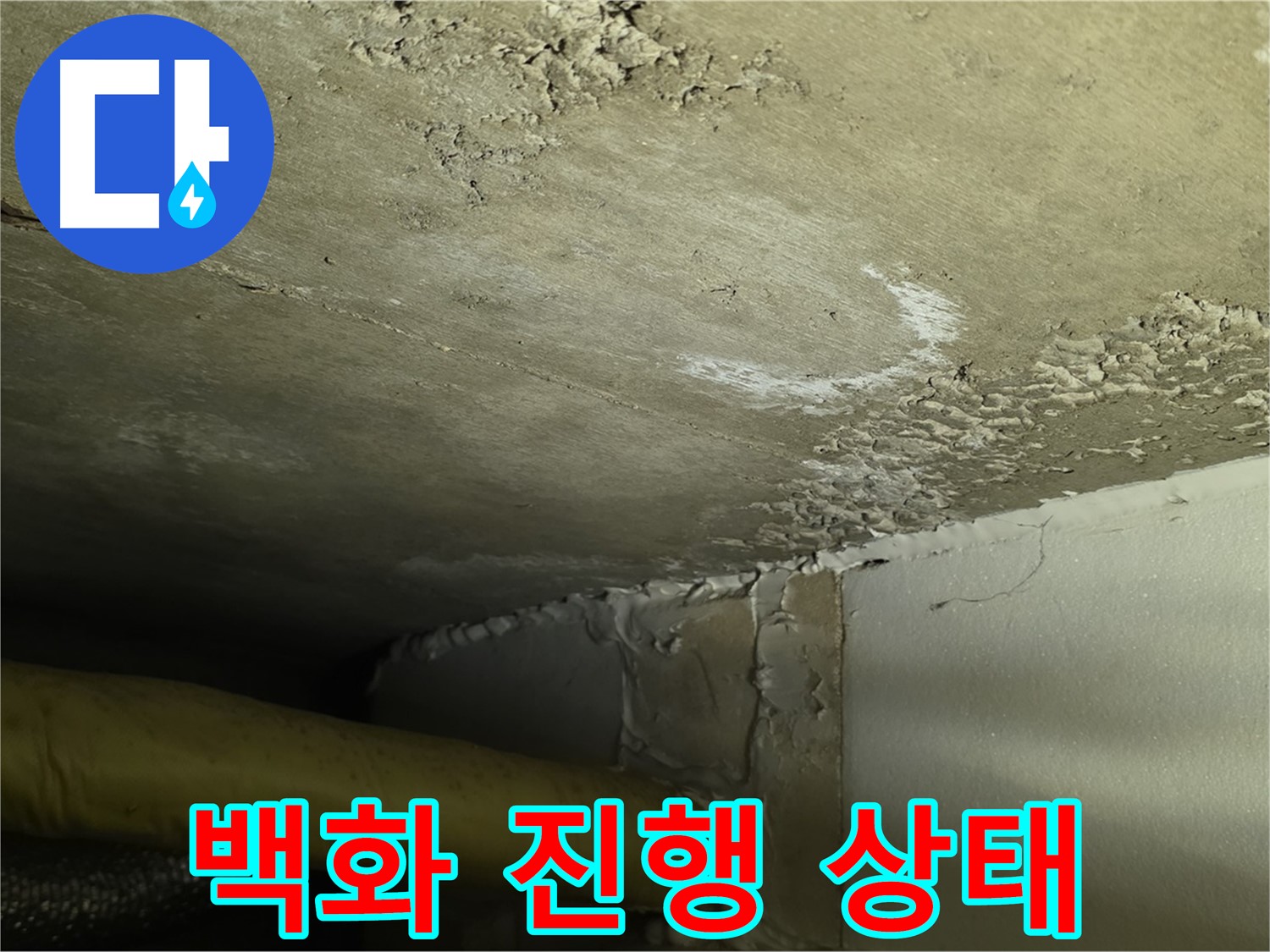 백화 진행 상태 - 누수 범위 확인 - 정밀 진단 필요