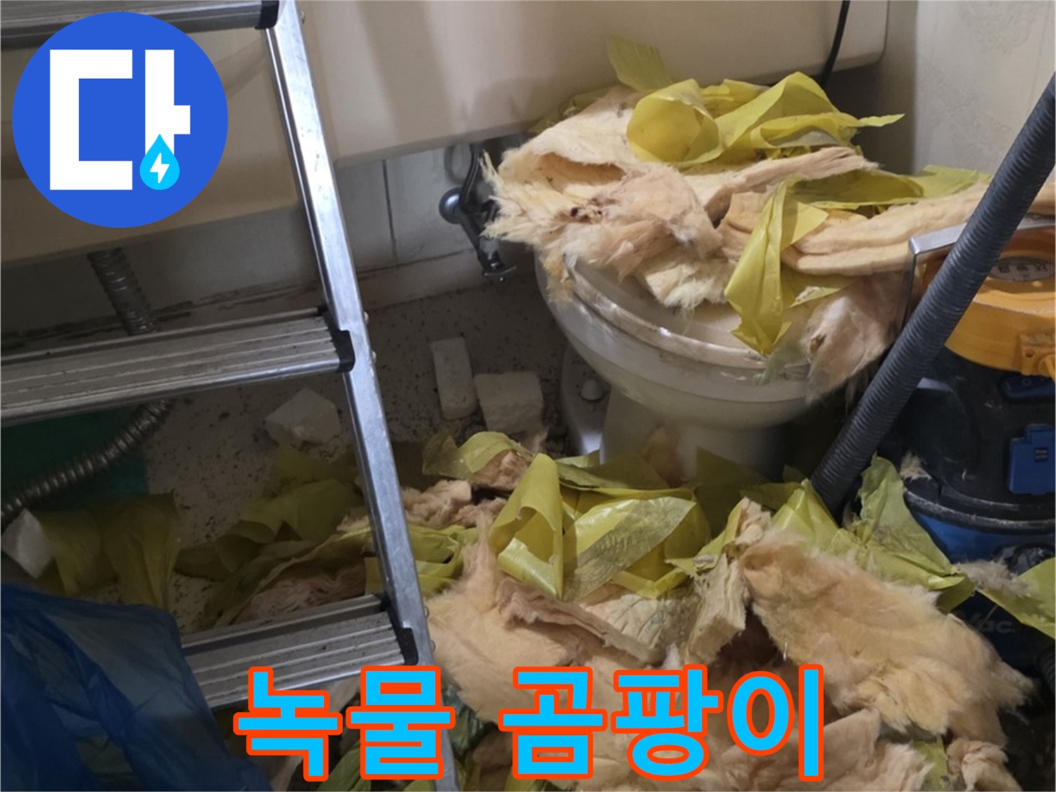 새절 누수 현장 - 녹물과 곰팡이로 오염된 배관 - 수질 오염과 건강 위협