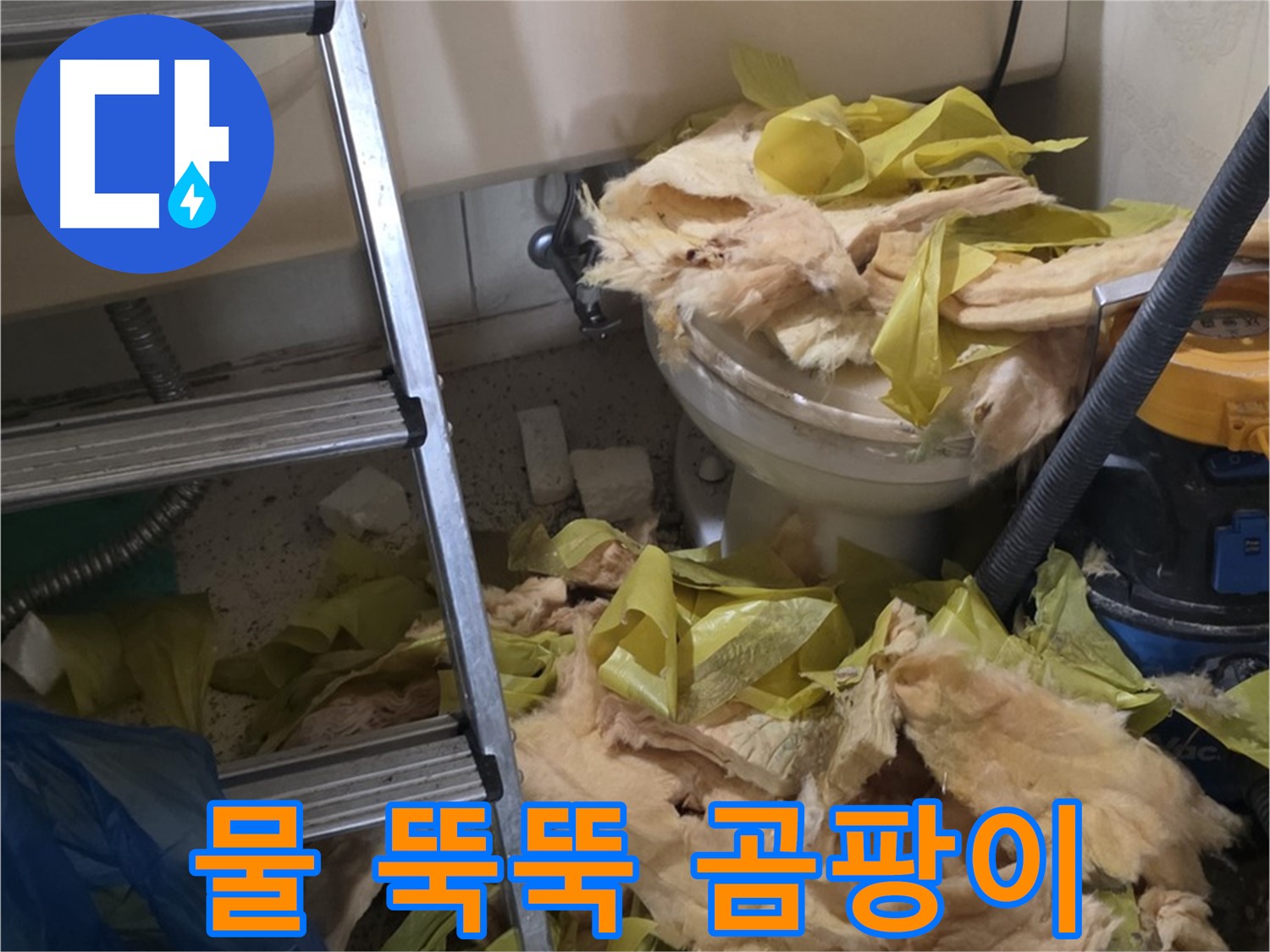 새절 누수 현장 - 물이 뚝뚝 떨어지는 배관 - 곰팡이 냄새 - 곰팡이 번식 위험