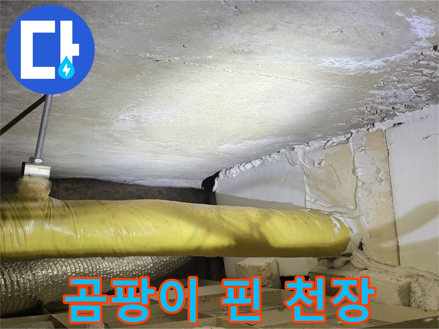 새절역 현대아파트 누수 - 곰팡이로 오염된 천장 - 누수 피해의 심각성을 보여줍니다.