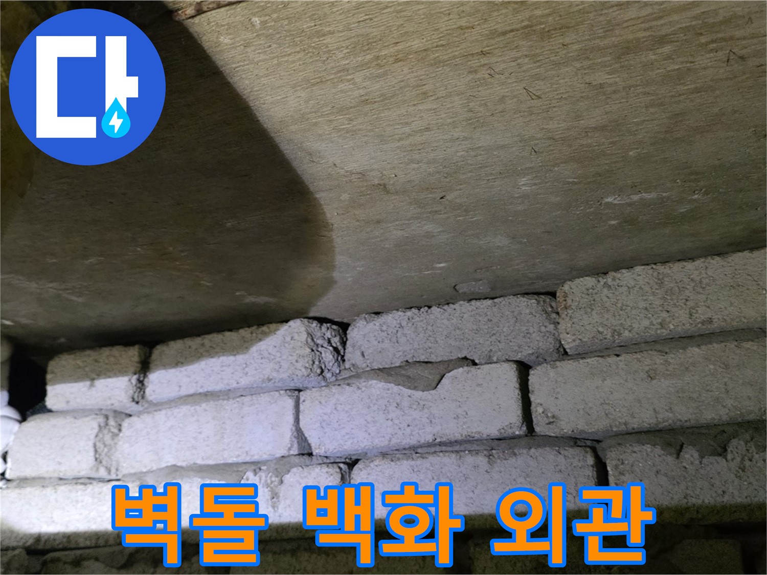 새절역 현대아파트 누수 - 벽돌 벽 하단 백화로 인한 건물 외관 손상