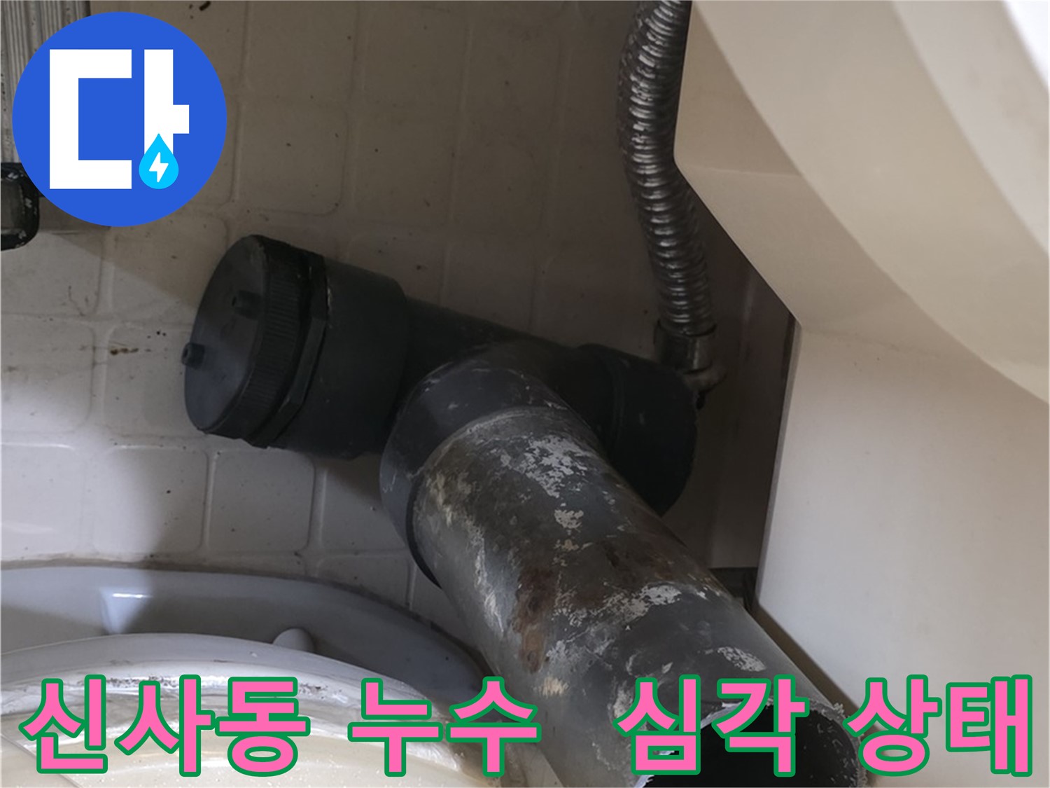 신사동 변기 오수관 누수 - 낡은 배관의 심각한 상태 공개
