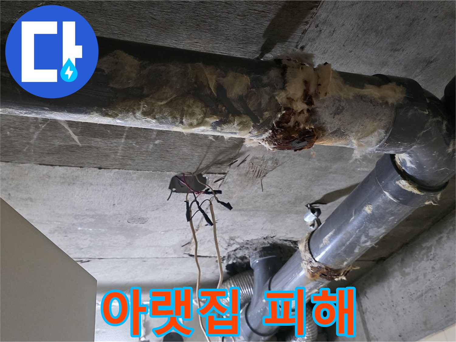 신사동 새절역현대아파트 누수 - 오수 배관 파손 긴급 수리 - 아랫집 피해 방지