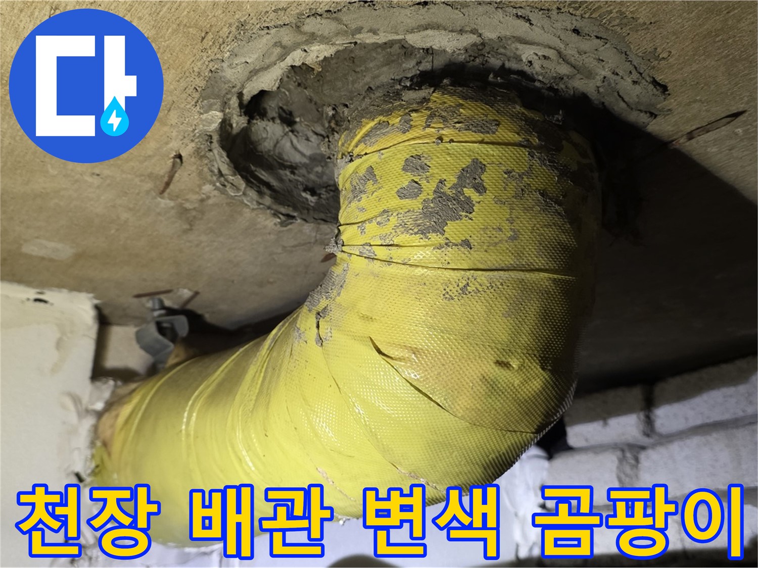 신사동 - 천장 배관 심한 변색 - 곰팡이 발생, 누수 의심
